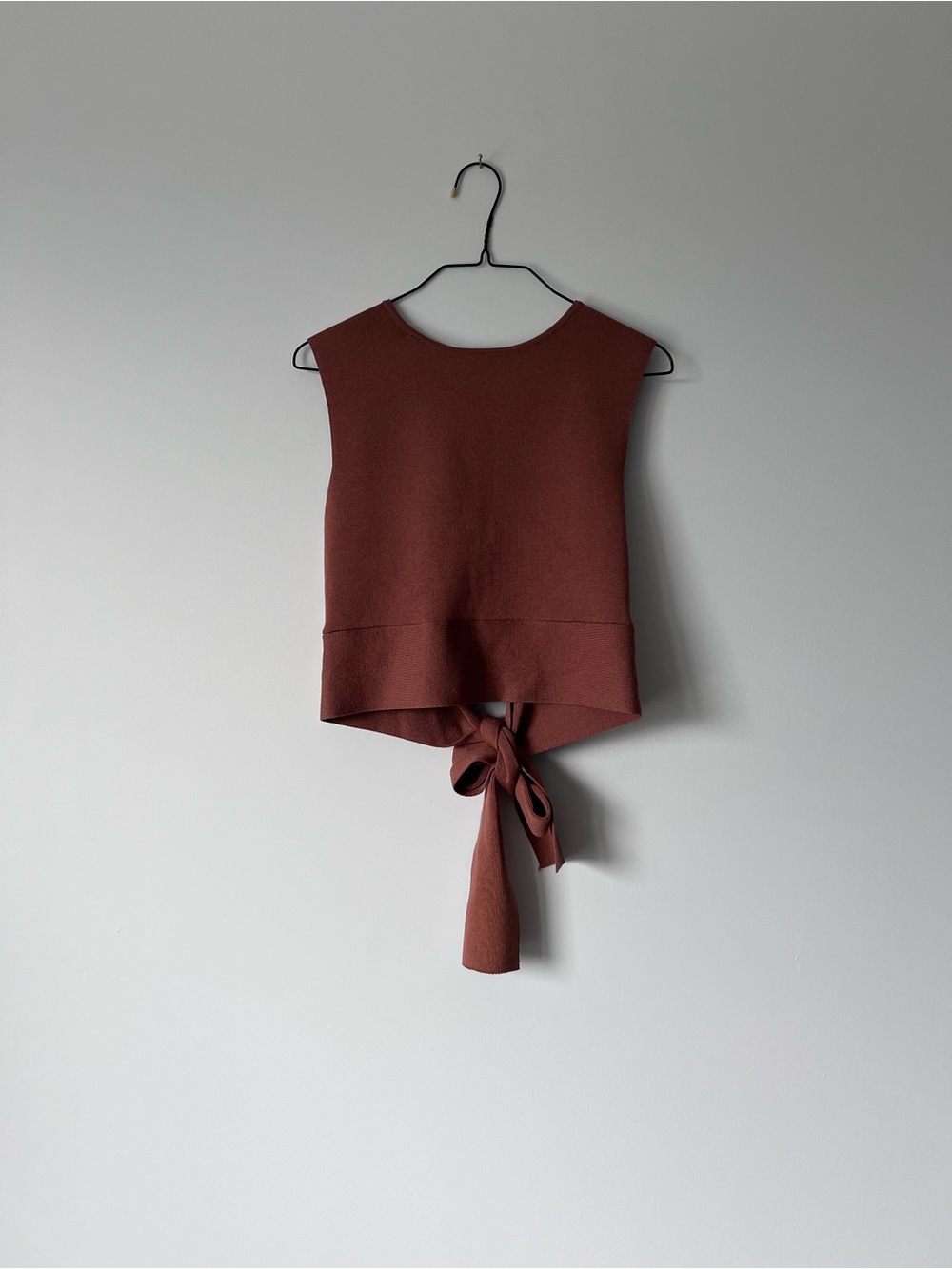 wild fable Rust Tie-Back Sleeveless Crop Tank